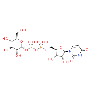 UDP-葡萄糖